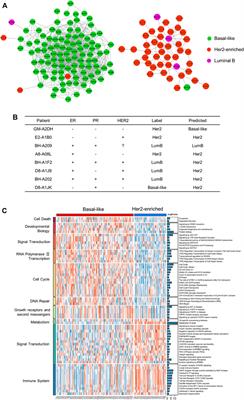 MoGCN: A Multi-Omics Integration Method Based on Graph Convolutional Network for Cancer Subtype Analysis